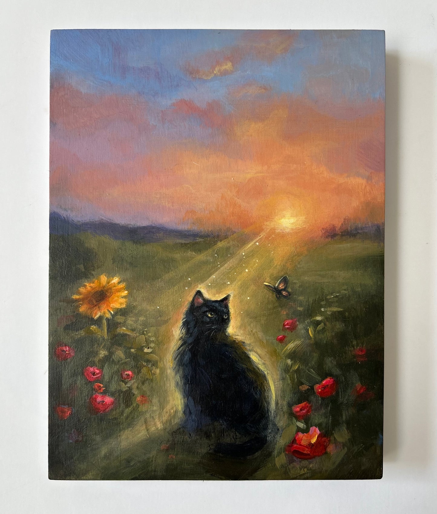 Sun Seeker