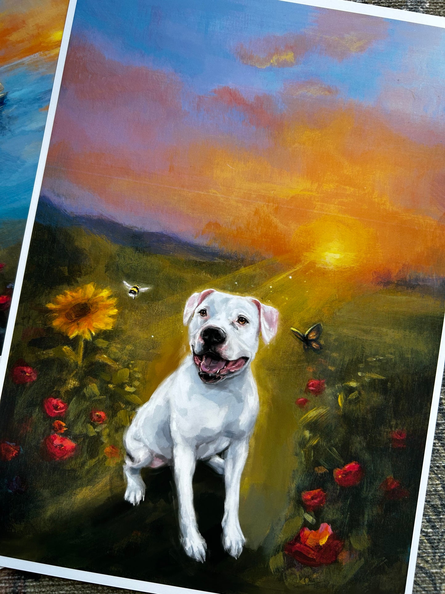 Sun Seeker Commission